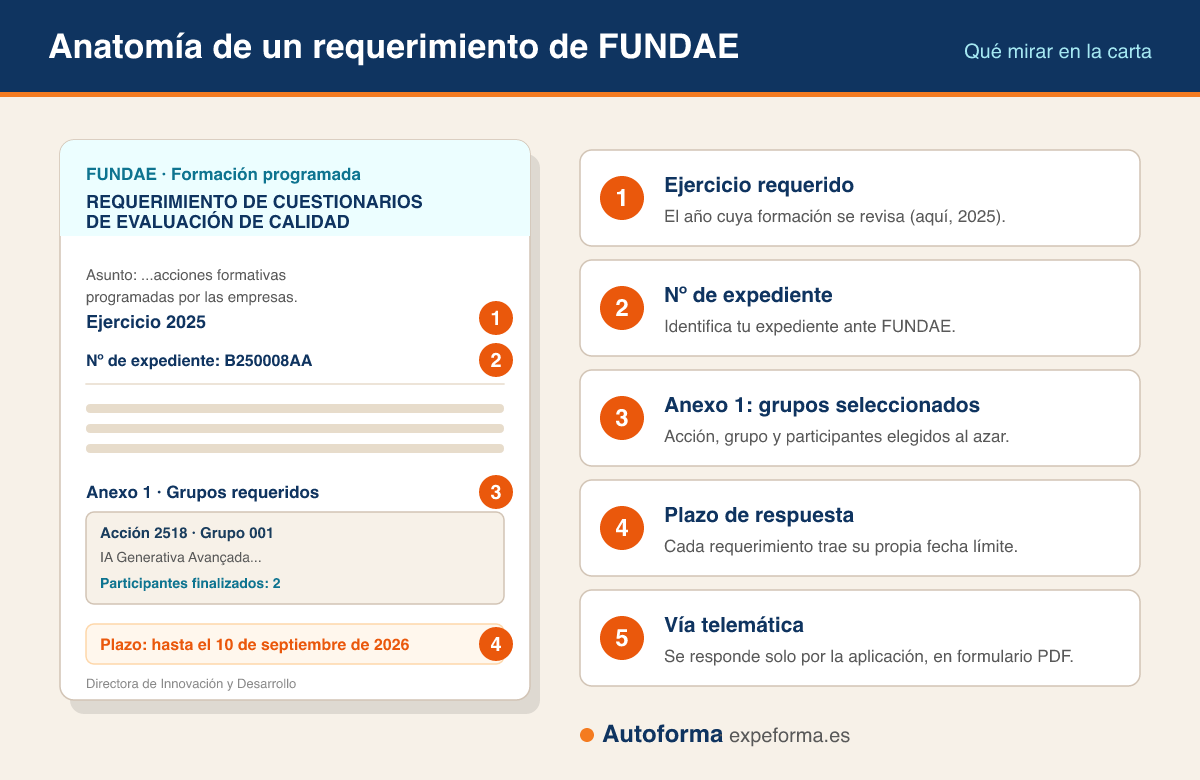 Esquema tipo anatomía de una carta de requerimiento de FUNDAE con llamadas que señalan el ejercicio requerido, el número de expediente, el anexo 1 con los grupos, el plazo de respuesta y la vía telemática.